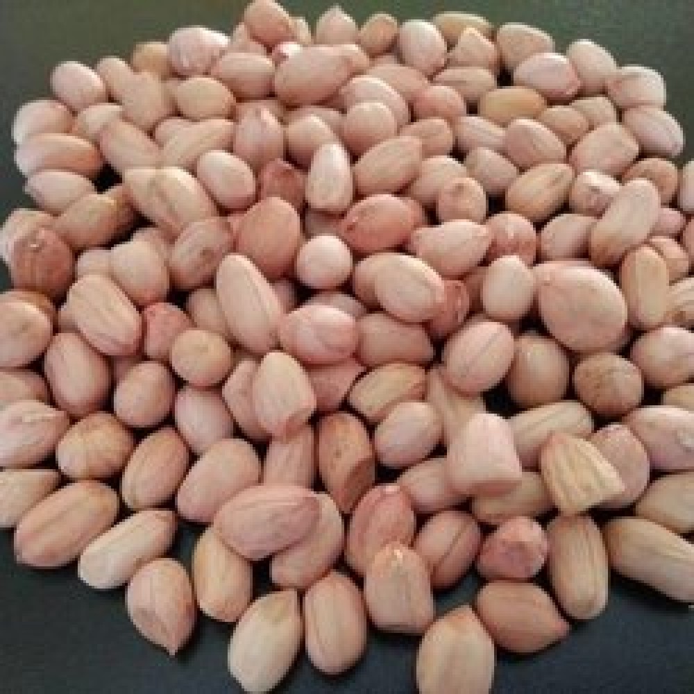 organic-raw-groundnut